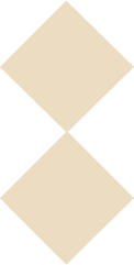 Thebrandelemement