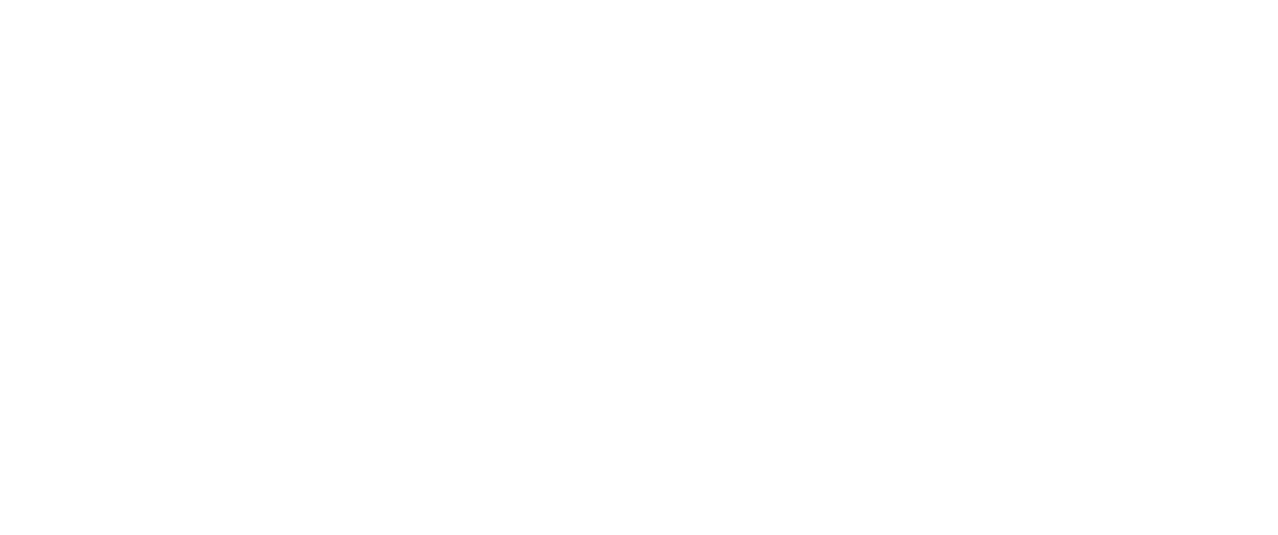 Logo white